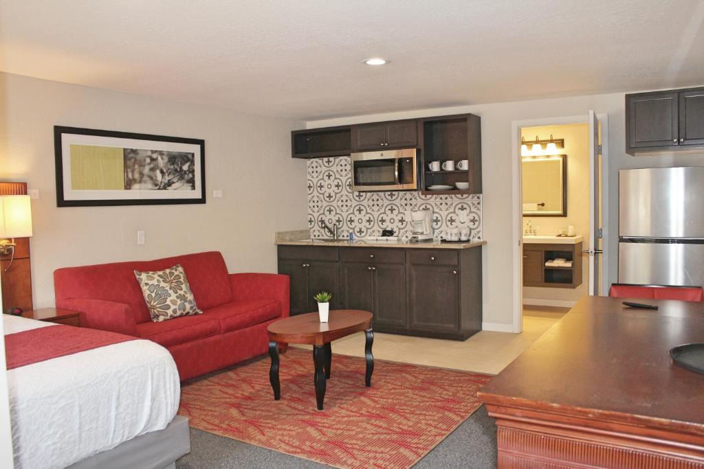 Alamosa Apartment | Bell & Main Studios 203