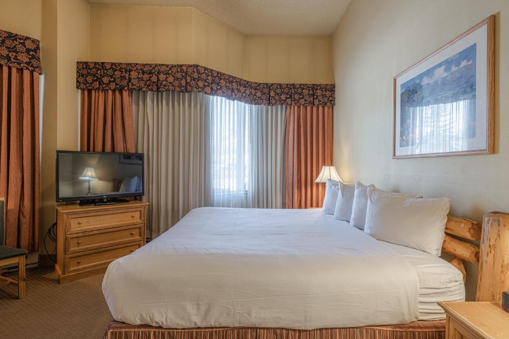Mount Crested Butte Hotel | Cozy Pet-Friendly King Studio in Mt, Crested Butte condo