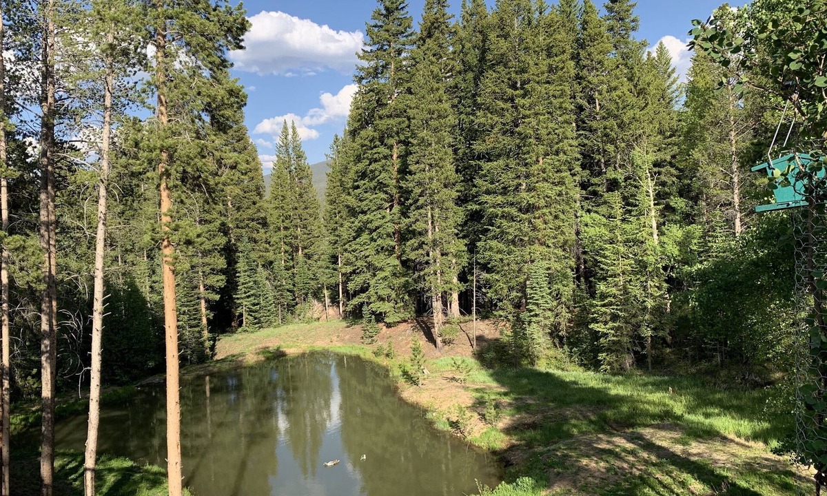 Park Forest Estates Cabin | DAILY WILDLIFE - BEAR, MOOSE, DEER - 3BR/3BA - SKI IN/SKI OUT - EARLY CHECKIN