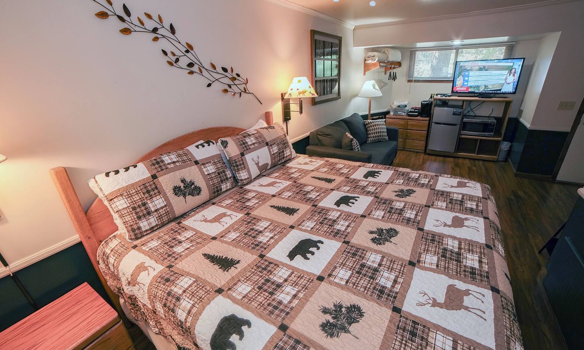 Estes Park Apartment | Economical Suite with King Bed & Woodburning Fireplace