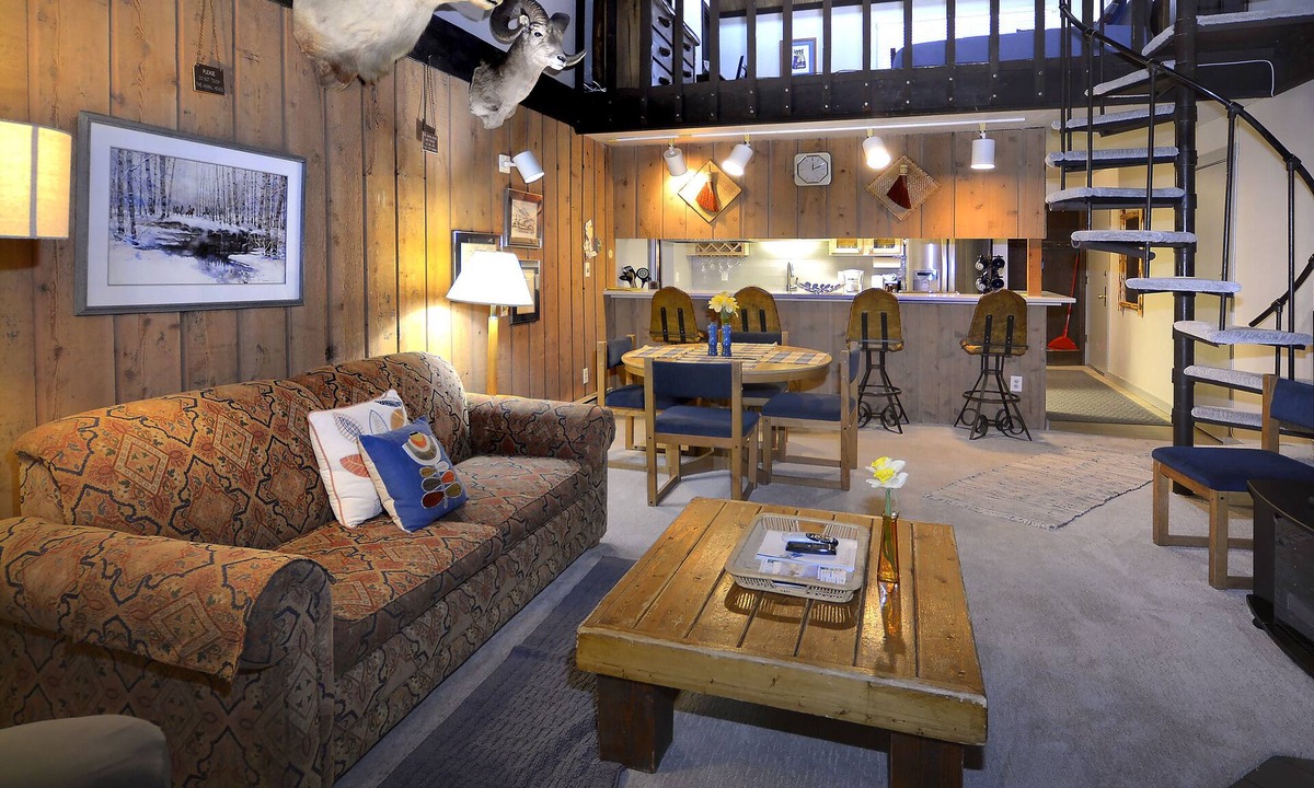 Mount Crested Butte Condo | Home Away From Home! Ski-in/Ski-out, Dog Friendly Condo w/Fireplace & Views