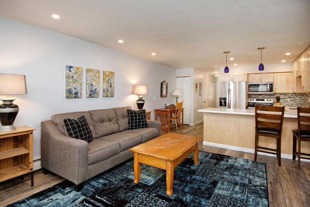 Aspen Apartment | Modern Aspen Condo Private Deck with Koch Park Views - 2E