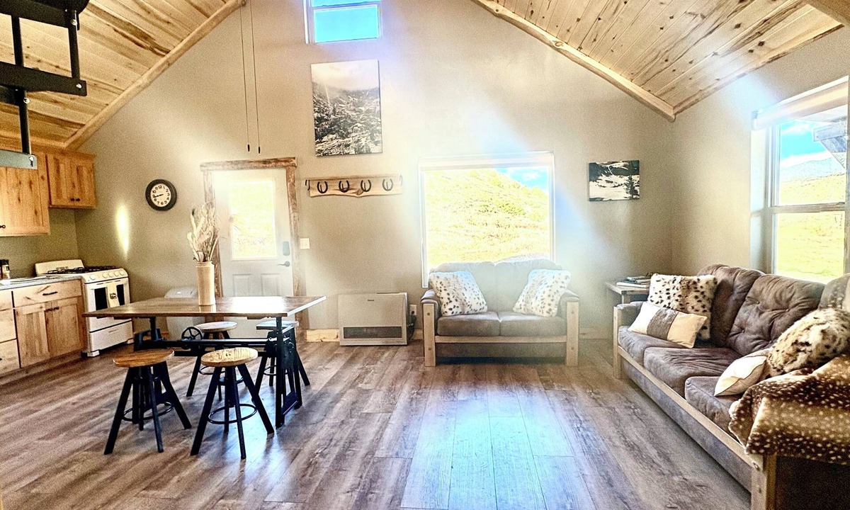 Capulin Cabin | Modern Rustic Appeal with the Wild Rio Grande National Forest as your backyard!