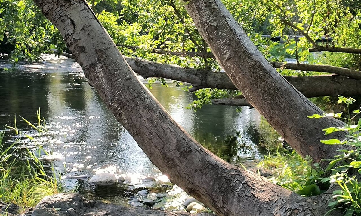 Jacksonville House | Park like setting on the Applegate River great for wine tasting & family reunion