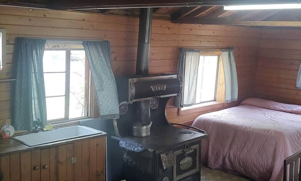 Bellvue Cabin | Rustic Glamping Cabin near Poudre River, Perfect for a Weekend of Fishing and Watching Wildlife
