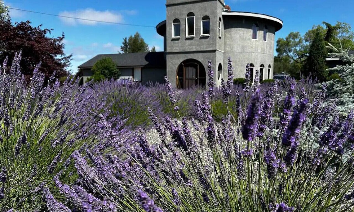 Sequim House | Sequim Lavender Castle
