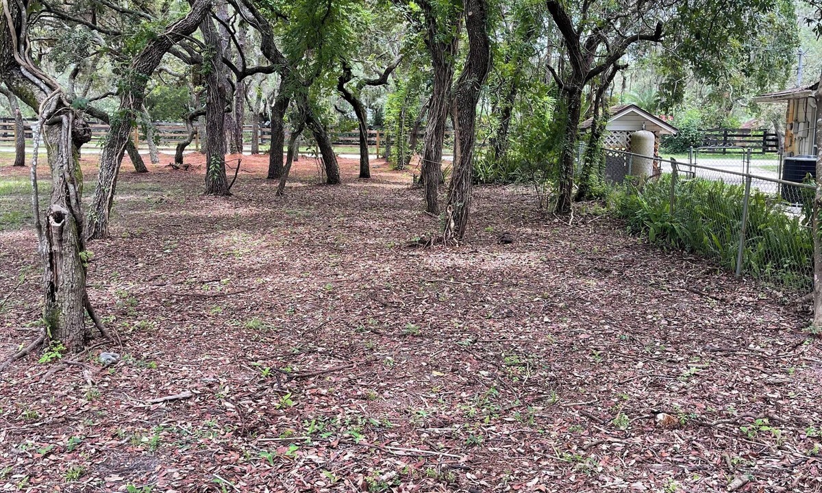 Port Richey Other | Spacious 4-bedroom farmhouse in tranquil New Port Richey Peaceful & Private