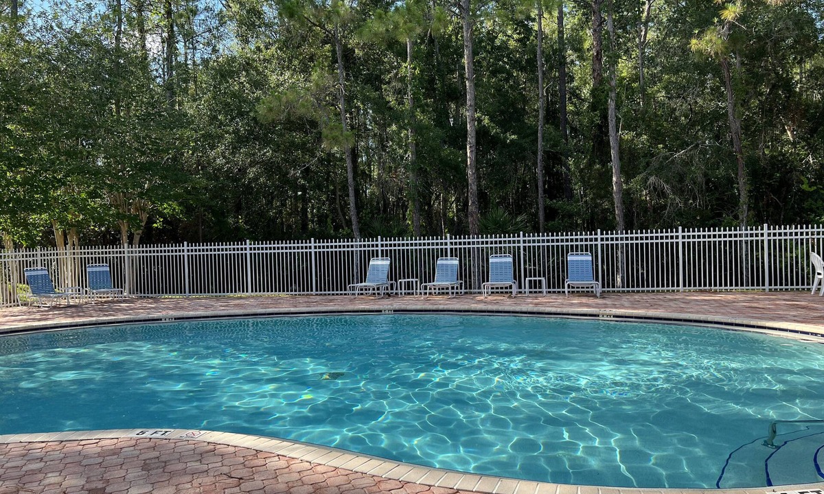 New Tampa House | Stylish Long Stay: KING Bed-Pool-Wifi-Gated-Pets-Tampa Palms-Moffitt Cancer Ctr