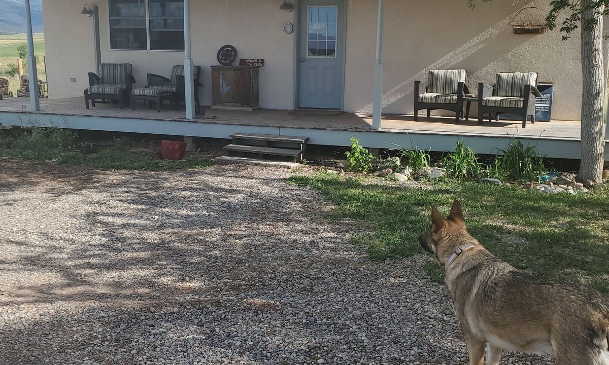 Silt House | Welcome to the Ranch!