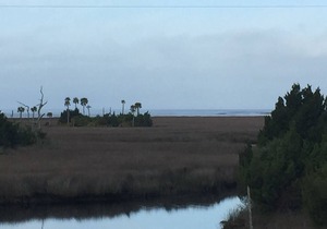 Spring Warrior Fish Camp Lodge, Located on the Gulf of Mexico. in Perry