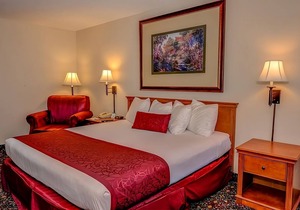 You Found it! Colorado Getaway! Indoor Pool, Hot-Tub, Family and Pet-Friendly!