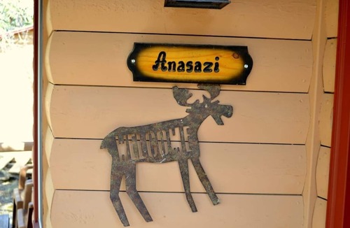 Estes Park Cabin | Anasazi Cabin - Charming cabin for 2 free WiFi