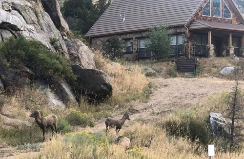 Rustic House | August Just Opened Up & Beautifully Wild has A/C! 21-Z3031