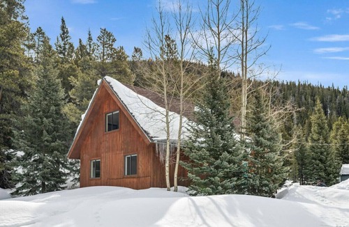 Blue River Cabin | BlueRiver 3BD/2BA 10MI to Breck