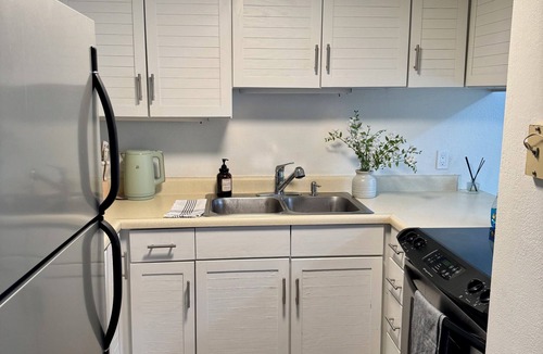 Basalt Apartment | Charming 2-bedroom apartment restaurant row Basalt with HS WiFi Great location
