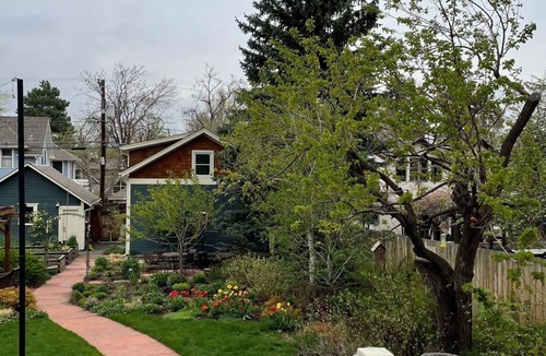 Lower Arapahoe House | Charming Historic Home