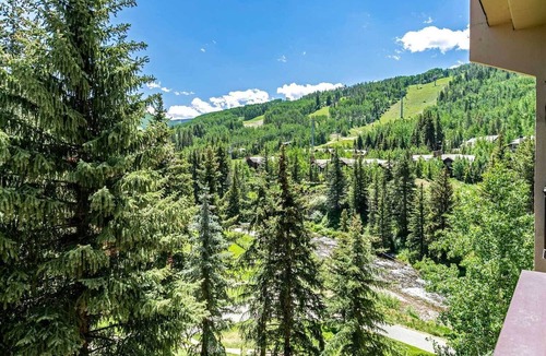 Vail Condo | Comfortable 2BR Lionshead Village Antlers condo - walk to ski lifts, pool & more