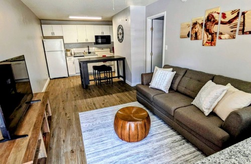 College Town Condo | Cozy 1/1 Walking distance to Doak Campbell Stadium and campus