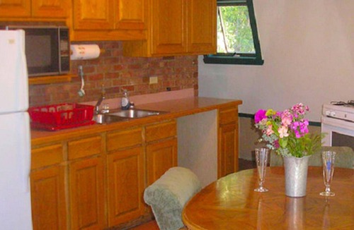 Nathrop Cabin | Cozy Dome-Shaped Camping Cabin in the San Isabel National Forest, Colorado