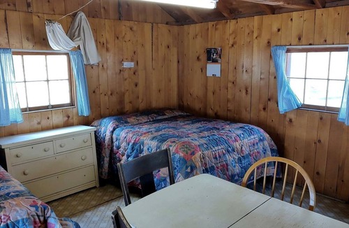 Bellvue Cabin | Cozy, Pet Friendly Cabin Deep in the Mountains for a Serene Getaway of Wilderness and Wildlife