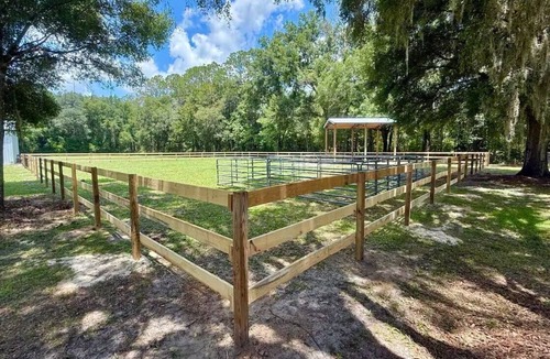 Williston House | Cozy Retreat near World Equestrian Center and Devils Den -Equine/Pet Friendly