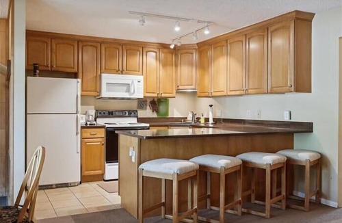 Historic District Condo | Dog-friendly Ski Town Homestead Rental|30 Night Min