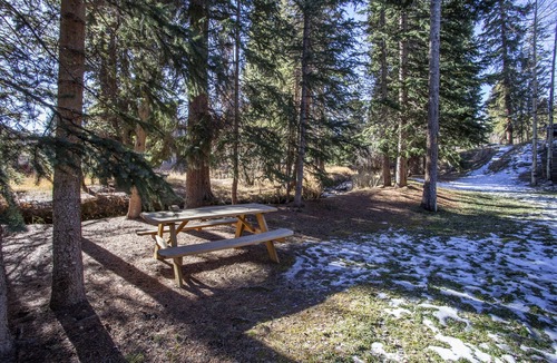 Four O'Clock Apartment | Dog-Friendly Slopeside Condo Near Main Street