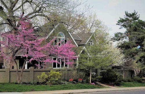 Lower Chautauqua House | Enjoy the Magic of Chautauqua Park & Walk to CU/4-5 Bedroom Home