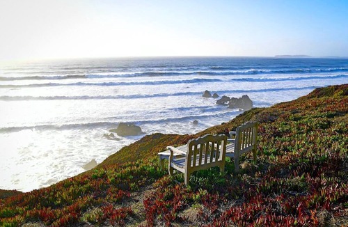 Dillon Beach House | EPIC VIEWS - Absolute Oceanfront on Bluff w/Crashing Surf