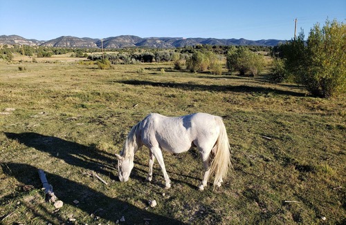 Hatch Apartment | Farriers Quarters Studio on 280 acre Sevier River Ranch - 2 Queen Beds