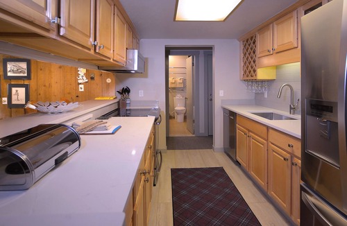Mount Crested Butte Condo | Home Away From Home! Ski-in/Ski-out, Dog Friendly Condo w/Fireplace & Views