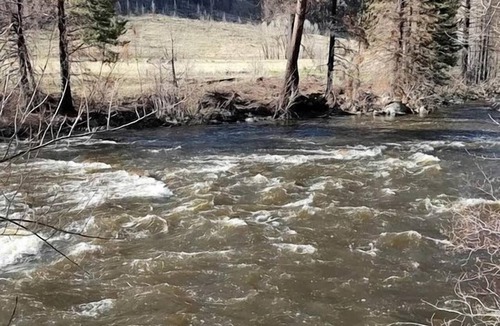 Bellvue Cabin | Homey, Pet Friendly Cabin near Lory State Park in Poudre Canyon, Colorado