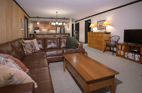 Mount Crested Butte Condo | Ideal Mountain Condo! Ski-In/Ski-Out, Slopeside with Beautiful Views