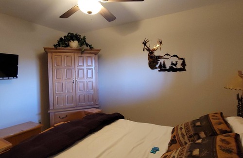 Southwest Colorado Springs House | Lush setting, minutes to downtown Colorado Springs