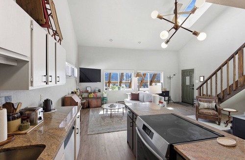 Crested Butte Condo | Mountain Retreat Pet Friendly Condo in Mt. Crested Butte