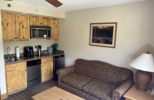 Mount Crested Butte Condo | MT CB Base Area- King Bed, Outdoor Hot Tub + Pool & Near Hiking + Biking