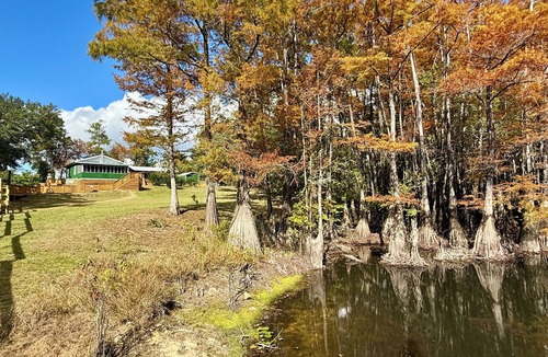 Bristol Cottage | New listing! Waterfront with dock, boat ramp! Surrounded by tupelo & cypress!