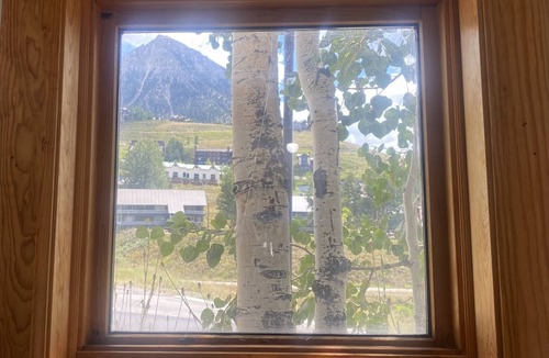 Mount Crested Butte House | Nordic end-unit Home with Sauna, massage chair, covered parking, remote office!