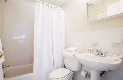 Boston Financial District Apartment | Pet Friendly - Elevator - Laundry in Bldg - FIDI