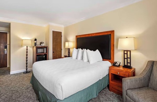 Eagle Hotel | Pet-Friendly Standard King Room +Free Breakfast, Parking, & Shuttle| Pool Access