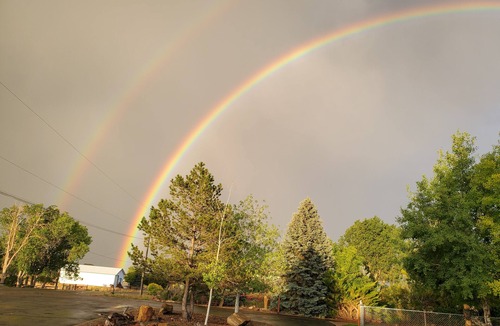 Lapoint House | Pines, Aspens, Deer and Mourning Doves, Abundant Wildlife By Vernal Game Farm