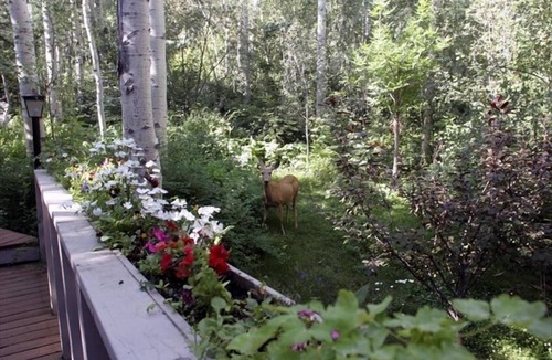 Snowmass Village House | Quiet, Peaceful, Spacious, Private Hot Tub, Well Appointed, 2 min. from lifts