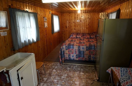 Bellvue Cabin | Remote and Cozy Mountain Cabin Nestled in the Poudre Canyon, Perfect for a Pet Friendly Glamping Retreat