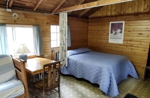 Bellvue Cabin | Rustic Glamping Cabin near Poudre River, Perfect for a Weekend of Fishing and Watching Wildlife