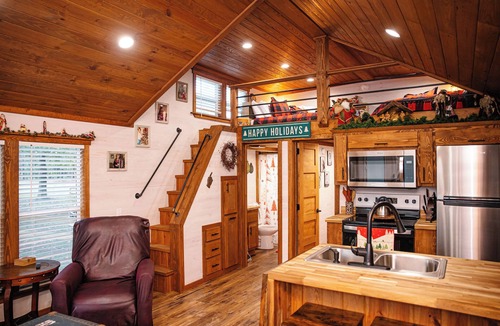 Cairo Cabin | Scrooge: Cozy tiny cabin on Christmas Tree Farm in South Georgia.