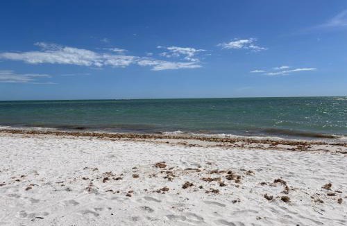Laguna Shores Apartment | Seaside oasis studio with heated pool