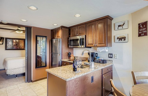 Peak 9 Apartment | Ski-In/Out Studio | Balcony Views | Dog Friendly