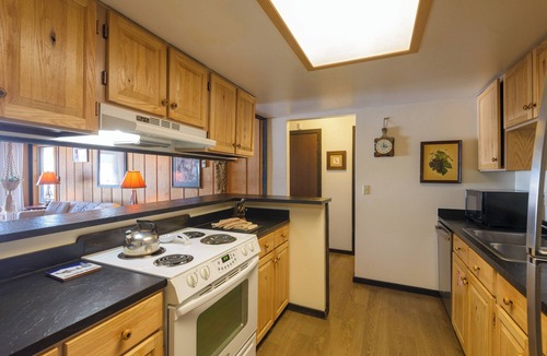 Mount Crested Butte Condo | Ski-In/Ski-Out! End Unit Condo w/Majestic Views & Free Shuttle