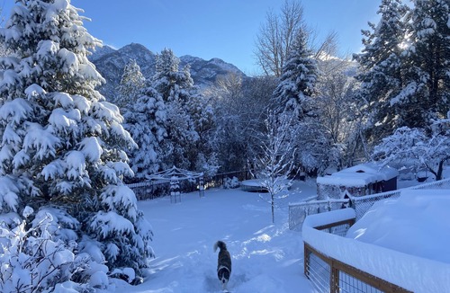 Sandy House | Skier’s dream! Gorgeous mountain views!