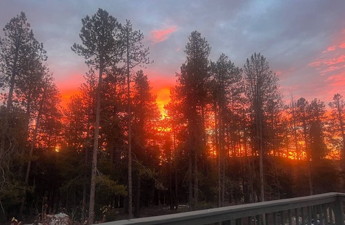 Pleasant Park Corridor House | Spacious 6-bedroom house in Conifer, CO-Hot tub, Golf Sim, Home gym, Sauna!